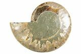 Cut & Polished Ammonite Fossil (Half) - Madagascar #346001-1